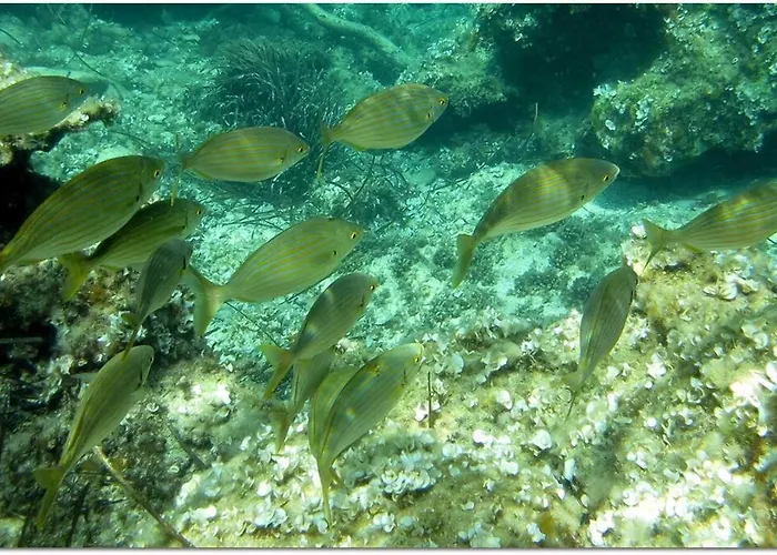 La Cava Di Sasa Favignana